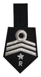 Patka do koszuli OSP, oddział powiatowy - członek komisji rewizyjnej
