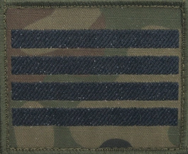 Dystynkcja na kurtkę polową Wojska Polskiego - plutonowy