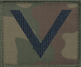 Dystynkcja na kurtkę polową Wojska Polskiego - sierżant