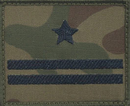 Dystynkcja na kurtkę polową Wojska Polskiego - major