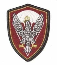 Emblemat Wojska Polskiego "Desant" - wyjściowy