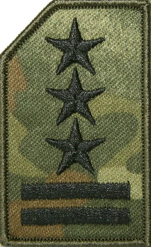 Stopień do czapki polowej - wzór SG14 - pułkownik