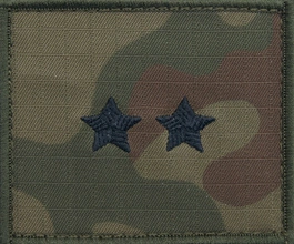 Dystynkcja na kurtkę polową Wojska Polskiego - starszy chorąży