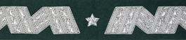 Otok generalski, zielony do rogatywki Wojska Polskiego - generał brygady