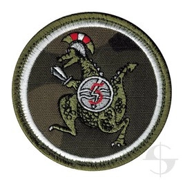 Emblemat polowy 5 batalionu dowodzenia