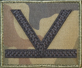 Dystynkcja na kurtkę polową Wojska Polskiego - sierżant sztabowy