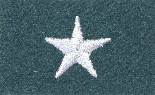 Stopień Wojska Polskiego do beretu zielonego - chorąży