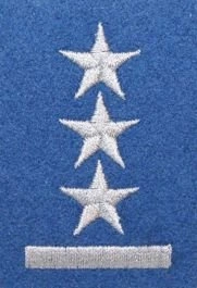 Stopień na beret WP (niebieski / h) - porucznik