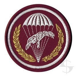 Emblemat wyjściowy 6 Brygady Powietrznodesantowej