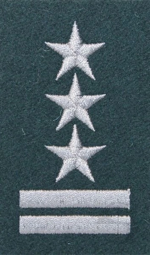 Stopień na beret WP (zielony / h) - pułkownik