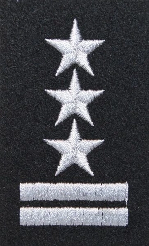Stopień na beret WP (czarny / h) - pułkownik