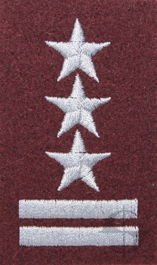 Stopień na beret WP (bordowy / h) - pułkownik