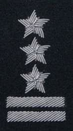 Stopień na beret WP (czarny / b) - pułkownik