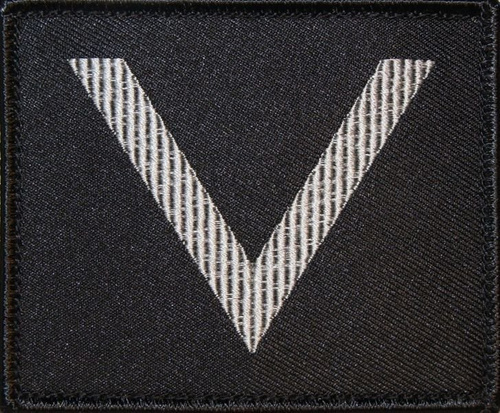 Dystynkcja na kurtkę wyjściową Sił Powietrznych - sierżant