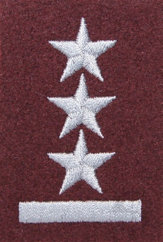 Stopień na beret WP (bordowy / h) - porucznik