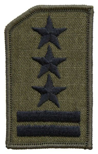 Stopień na czapkę służbową letnią Straży Granicznej - pułkownik